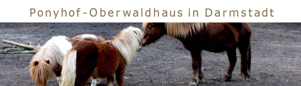 Ponyhof Oberwaldhaus